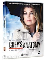  - grey's anatomy - stagione 12 (6 dvd)