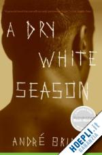 brink andre' - a dry white season