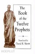 slavitt david r. - the book of the twelve prophets