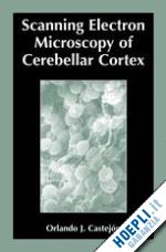 castejón orlando - scanning electron microscopy of cerebellar cortex