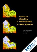 navarro pilar garcia (curatore); playán enrique (curatore) - numerical modelling of hydrodynamics for water resources