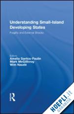 santos-paulino amelia (curatore); mcgillivray mark (curatore); naudé wim (curatore) - understanding small-island developing states