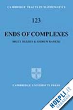 hughes bruce; ranicki andrew - ends of complexes
