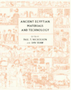 nicholson paul t. (curatore); shaw ian (curatore) - ancient egyptian materials and technology