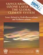 intergovernmental panel on climate change (curatore) - safeguarding the ozone layer and the global climate system