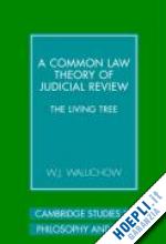 waluchow w. j. - a common law theory of judicial review