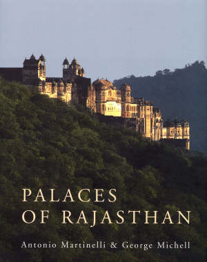 martinelli a. michell g. - palaces of rajasthan
