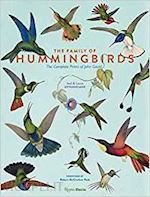 oppenheimer joel; oppenheimer laura - family of hummingbirds