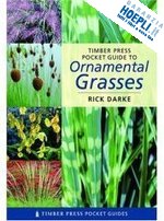 darke rick - ornamental grasses