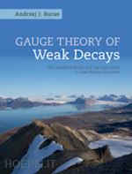 buras andrzej j. - gauge theory of weak decays