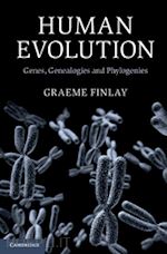 finlay graeme - human evolution
