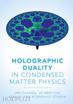 zaanen jan; liu yan; sun ya-wen; schalm koenraad - holographic duality in condensed matter physics