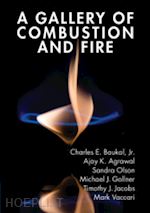 baukal jr. charles e.; agarwal ajay k. (curatore); olson sandra (curatore); gollner michael j. (curatore); jacobs timothy j. (curatore); vaccari mark (curatore) - a gallery of combustion and fire