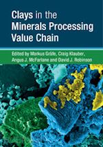 gräfe markus (curatore); klauber craig (curatore); mcfarlane angus j. (curatore); robinson david j. (curatore) - clays in the minerals processing value chain
