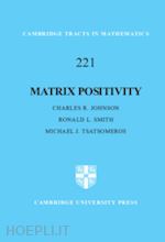 johnson charles r.; smith ronald l.; tsatsomeros michael j. - matrix positivity