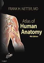 netter f. - netter atlas of human anatomy