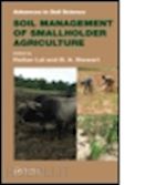 lal rattan (curatore); stewart b.a. (curatore) - soil management of smallholder agriculture