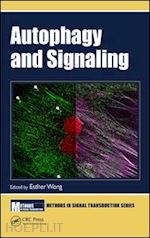 wong esther (curatore) - autophagy and signaling