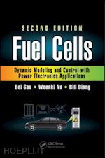 gou bei; na woonki; diong bill - fuel cells