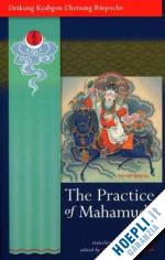 drikung kyabgon chetsang rinpoche; clark r.(transl.), ani k.trinlay chodron(curatore) - the practice of mahamudra
