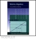 robbin  joel w. - matrix algebra using minimal matlab