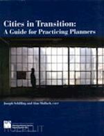 schilling joseph; mallach alan - cities in transition