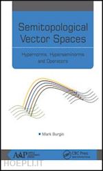 burgin mark - semitopological vector spaces