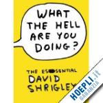 shrigley david - what the hell are you doing? the essential of david shrigley