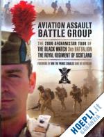 aa.vv. - aviation assault battle group