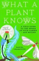 chamowitz daniel - what a plant knows