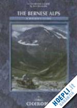 reynolds kev - the bernese alps