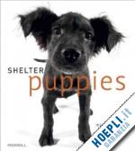 kloth michael - shelter puppies