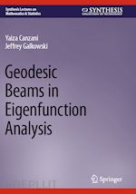 canzani yaiza; galkowski jeffrey - geodesic beams in eigenfunction analysis