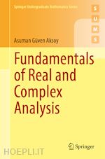aksoy asuman güven - fundamentals of real and complex analysis
