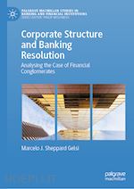 sheppard gelsi marcelo j. - corporate structure and banking resolution