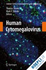 shenk thomas e. (curatore); stinski mark f. (curatore) - human cytomegalovirus