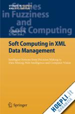 ma zongmin (curatore); yan li (curatore) - soft computing in xml data management