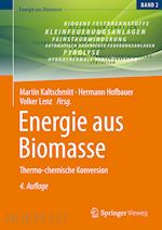 kaltschmitt martin (curatore); hofbauer hermann (curatore); lenz volker (curatore) - energie aus biomasse