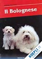 bonanno f. - il bolognese
