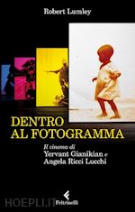 Image of DENTRO AL FOTOGRAMMA. IL CINEMA DI YERVANT GIANIKIAN E ANGELA RICCI LUCCHI