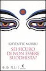 norbu khyentse - sei sicuro di non essere buddhista?