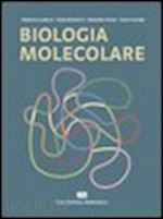 amaldi francesco - biologia molecolare