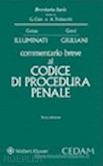 illuminati giulio; giuliani livia - commentario breve al codice di procedura penale