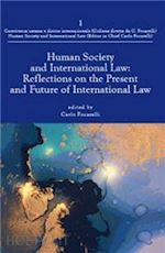 Image of HUMAN SOCIETY AND INTERNATIONAL LAW: REFLECTIONS ON THE PRESENT AND FUTURE OF