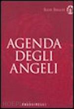 sibaldi igor - l'agenda degli angeli