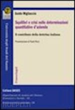 migliaccio guido - squilibri e crisi nelle determinazioni quantitative d'azienda