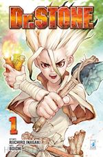 Image of DR. STONE. VOL. 1