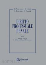 Image of DIRITTO PROCESSUALE PENALE