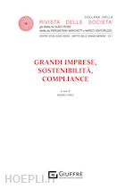 Image of GRANDI IMPRESE, SOSTENIBILITA', COMPLIANCE