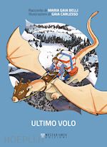 Image of ULTIMO VOLO